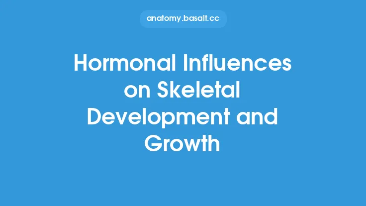 Hormonal Influences on Skeletal Development and Growth Thumbnail