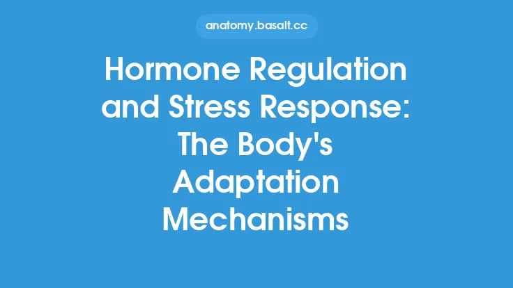 Hormone Regulation and Stress Response: The Body