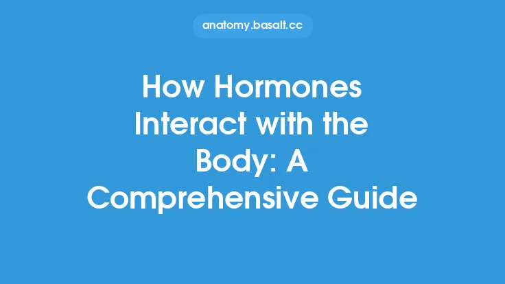 How Hormones Interact with the Body: A Comprehensive Guide Thumbnail