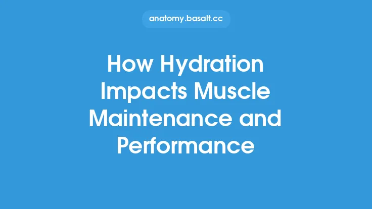 How Hydration Impacts Muscle Maintenance and Performance Thumbnail