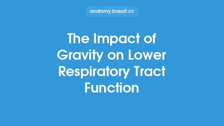 The Impact of Gravity on Lower Respiratory Tract Function Thumbnail
