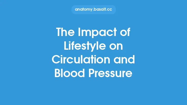 The Impact of Lifestyle on Circulation and Blood Pressure Thumbnail