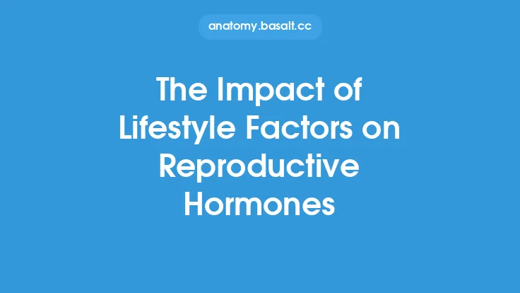 The Impact of Lifestyle Factors on Reproductive Hormones Thumbnail