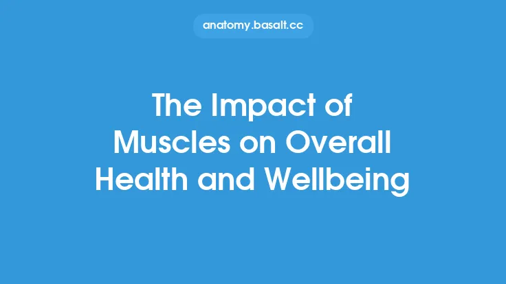 The Impact of Muscles on Overall Health and Wellbeing Thumbnail