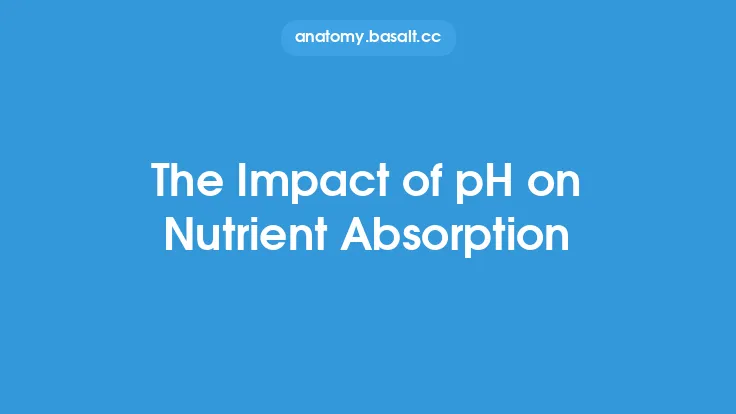 The Impact of pH on Nutrient Absorption Thumbnail