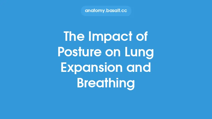 The Impact of Posture on Lung Expansion and Breathing Thumbnail