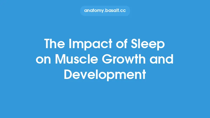 The Impact of Sleep on Muscle Growth and Development Thumbnail