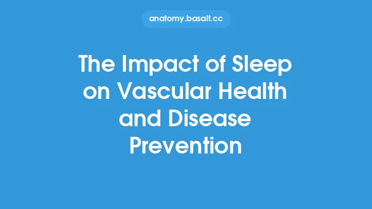 The Impact of Sleep on Vascular Health and Disease Prevention Thumbnail