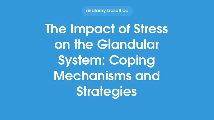 The Impact of Stress on the Glandular System: Coping Mechanisms and Strategies Thumbnail