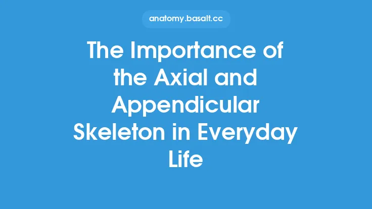 The Importance of the Axial and Appendicular Skeleton in Everyday Life Thumbnail