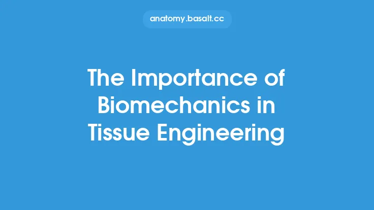 The Importance of Biomechanics in Tissue Engineering Thumbnail