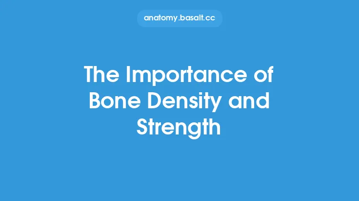 The Importance of Bone Density and Strength Thumbnail