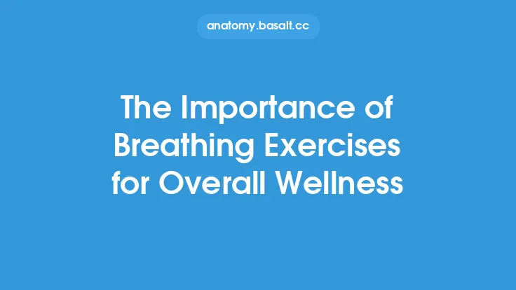 The Importance of Breathing Exercises for Overall Wellness Thumbnail
