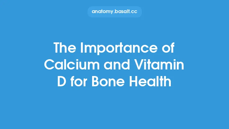 The Importance of Calcium and Vitamin D for Bone Health Thumbnail