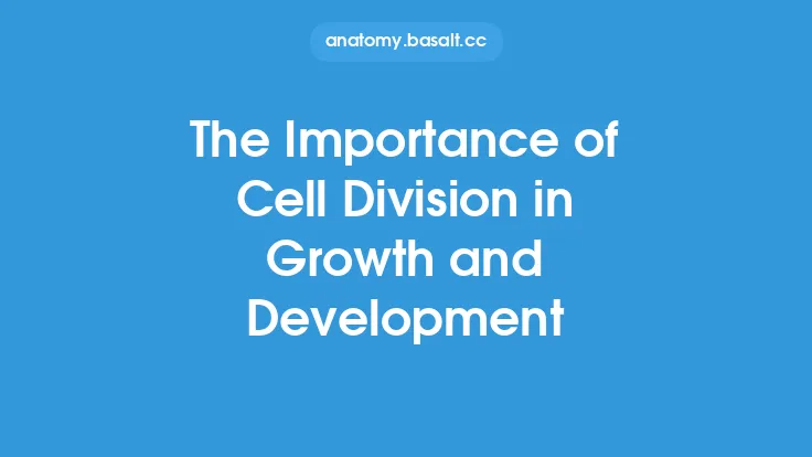 The Importance of Cell Division in Growth and Development Thumbnail