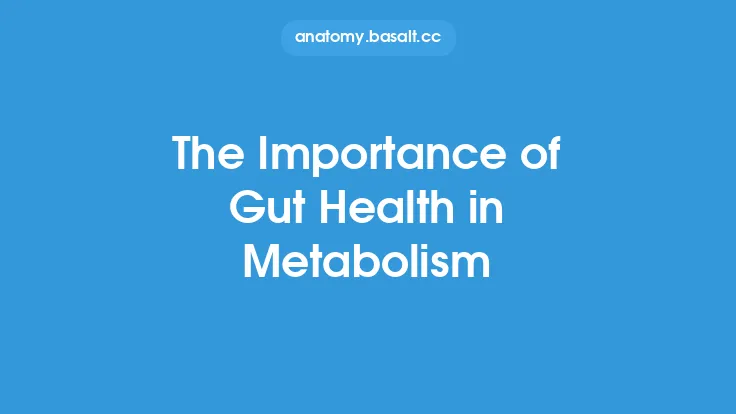 The Importance of Gut Health in Metabolism Thumbnail