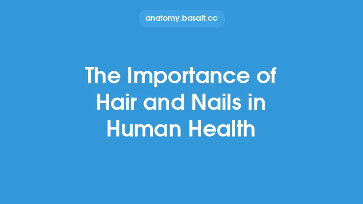 The Importance of Hair and Nails in Human Health Thumbnail