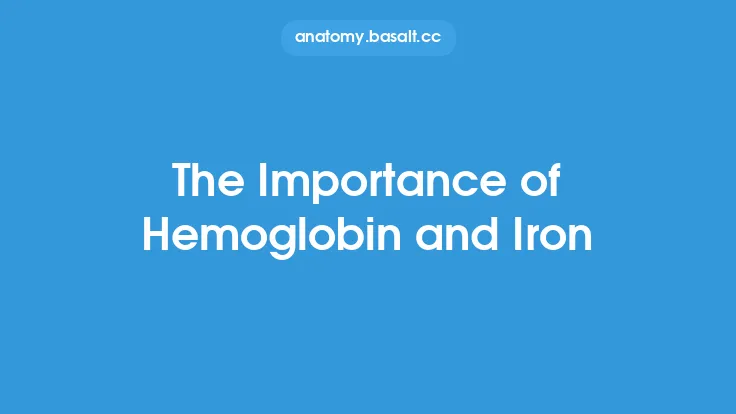 The Importance of Hemoglobin and Iron Thumbnail