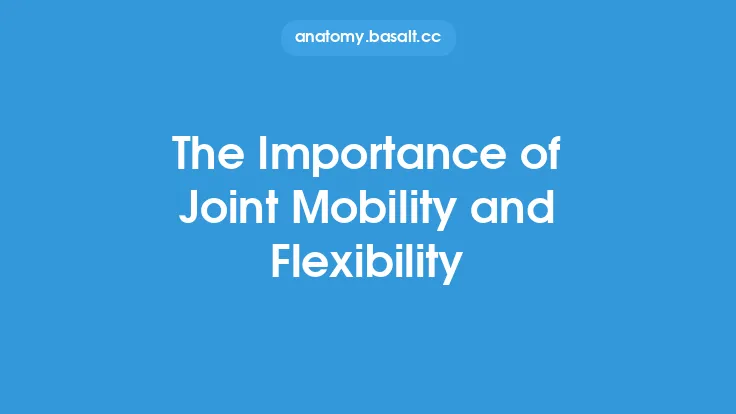 The Importance of Joint Mobility and Flexibility Thumbnail