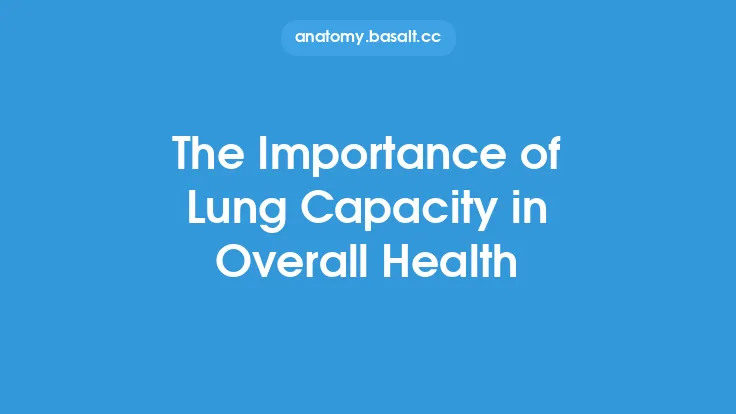 The Importance of Lung Capacity in Overall Health Thumbnail