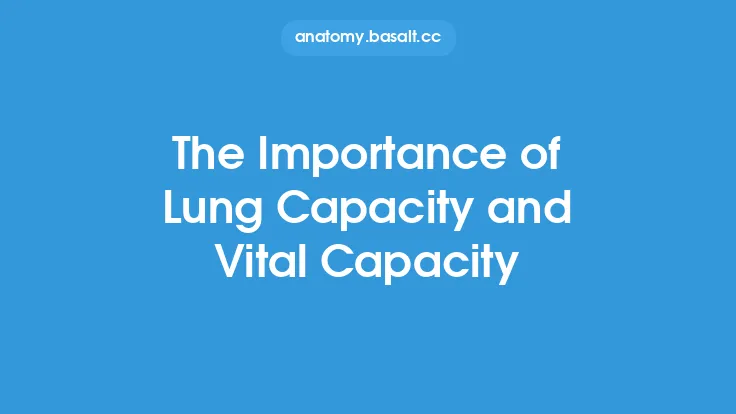 The Importance of Lung Capacity and Vital Capacity Thumbnail