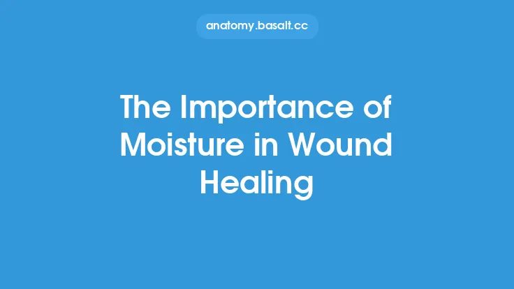 The Importance of Moisture in Wound Healing Thumbnail