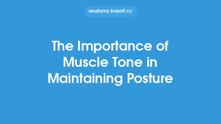 The Importance of Muscle Tone in Maintaining Posture Thumbnail