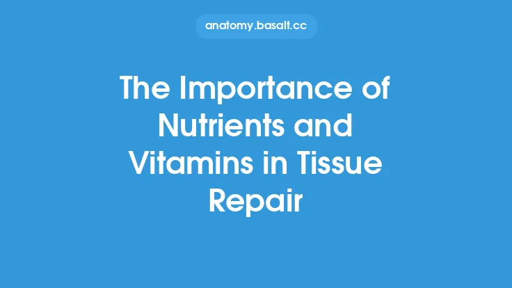 The Importance of Nutrients and Vitamins in Tissue Repair Thumbnail