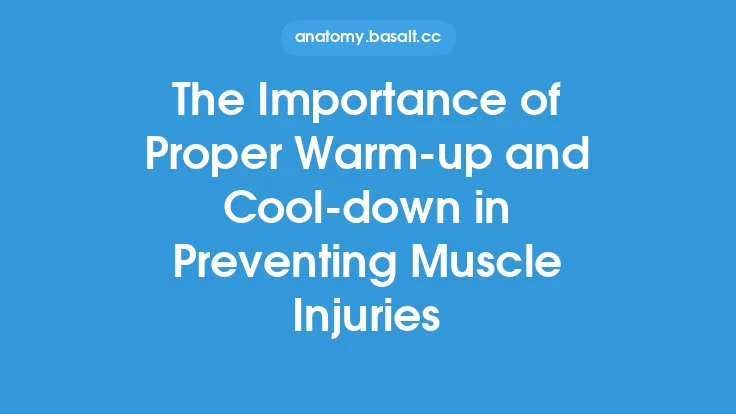 The Importance of Proper Warm-up and Cool-down in Preventing Muscle Injuries Thumbnail