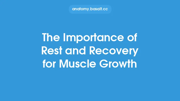 The Importance of Rest and Recovery for Muscle Growth Thumbnail