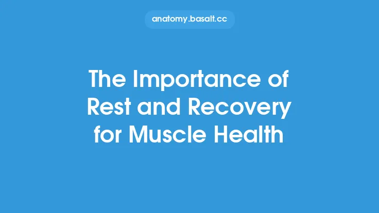 The Importance of Rest and Recovery for Muscle Health Thumbnail