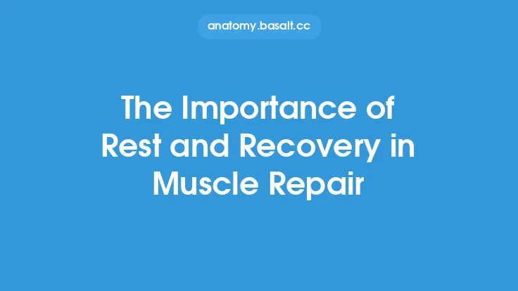 The Importance of Rest and Recovery in Muscle Repair Thumbnail