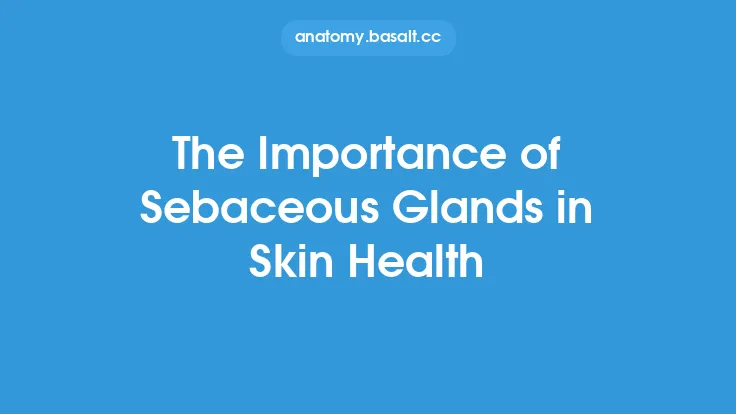 The Importance of Sebaceous Glands in Skin Health Thumbnail