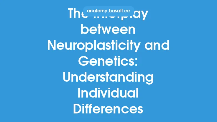 The Interplay between Neuroplasticity and Genetics: Understanding Individual Differences Thumbnail