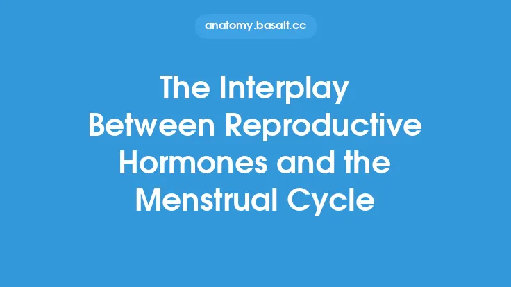 The Interplay Between Reproductive Hormones and the Menstrual Cycle Thumbnail