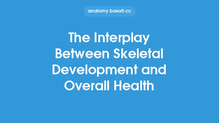 The Interplay Between Skeletal Development and Overall Health Thumbnail