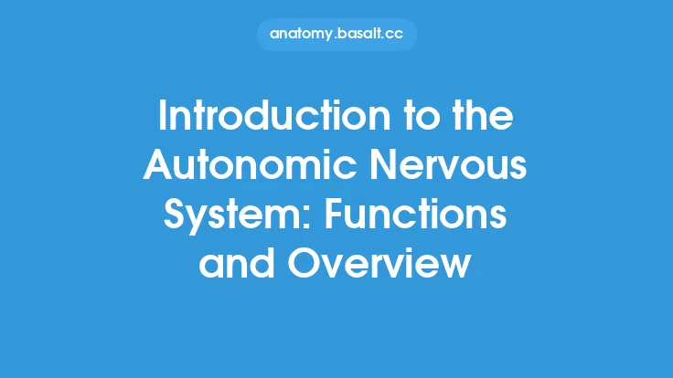 Introduction to the Autonomic Nervous System: Functions and Overview Thumbnail