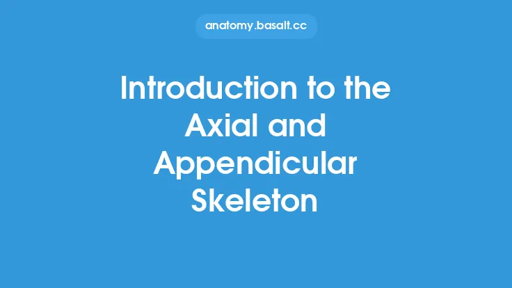 Introduction to the Axial and Appendicular Skeleton Thumbnail