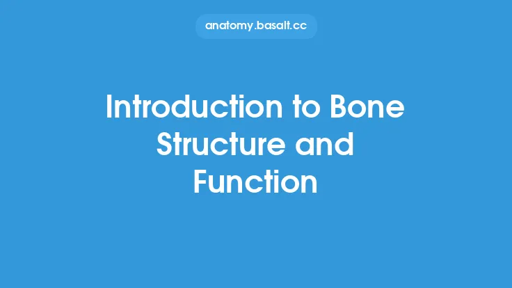 Introduction to Bone Structure and Function Thumbnail