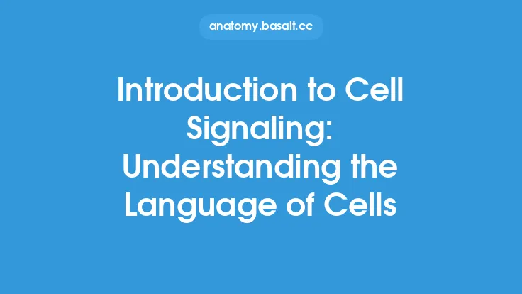 Introduction to Cell Signaling: Understanding the Language of Cells Thumbnail
