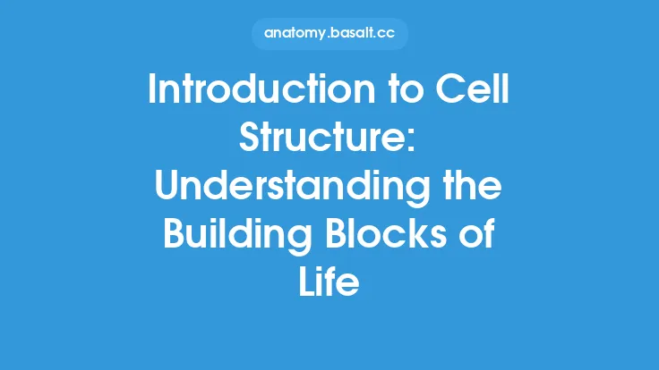 Introduction to Cell Structure: Understanding the Building Blocks of Life Thumbnail