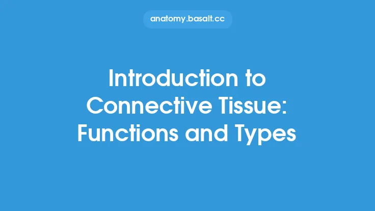Introduction to Connective Tissue: Functions and Types Thumbnail