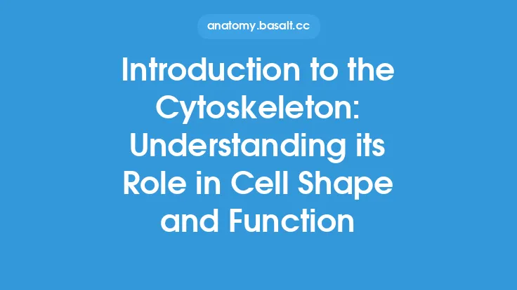 Introduction to the Cytoskeleton: Understanding its Role in Cell Shape and Function Thumbnail