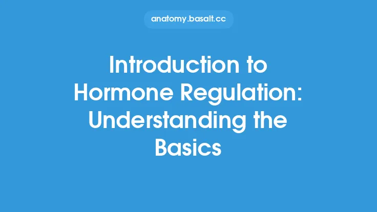 Introduction to Hormone Regulation: Understanding the Basics Thumbnail