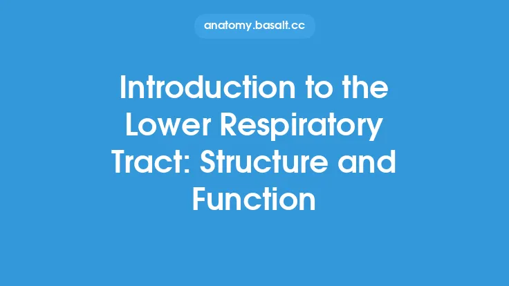 Introduction to the Lower Respiratory Tract: Structure and Function Thumbnail