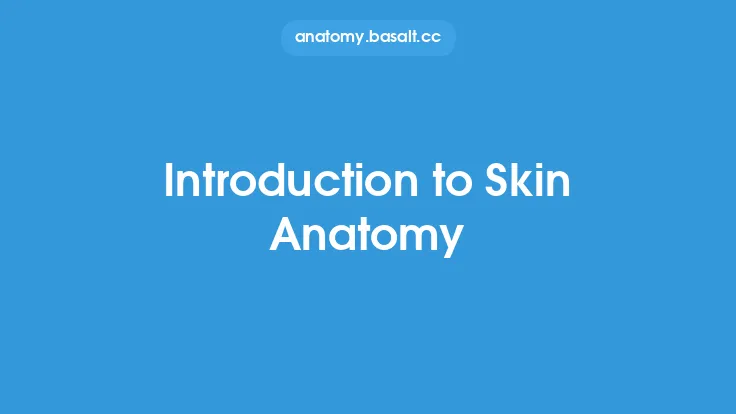 Introduction to Skin Anatomy Thumbnail