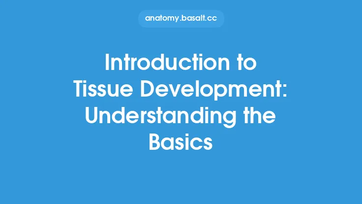 Introduction to Tissue Development: Understanding the Basics Thumbnail