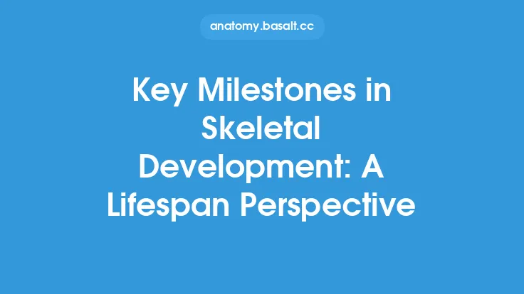 Key Milestones in Skeletal Development: A Lifespan Perspective Thumbnail