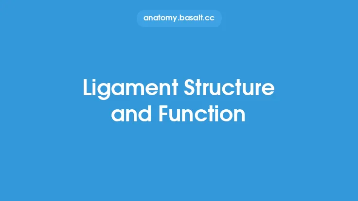 Ligament Structure and Function Thumbnail