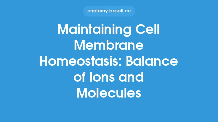 Maintaining Cell Membrane Homeostasis: Balance of Ions and Molecules Thumbnail
